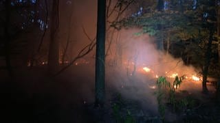Die Freiwillige Feuerwehr Hagenbach löscht am frühen Montagmorgen einen Waldbrand im Kreis Germersheim