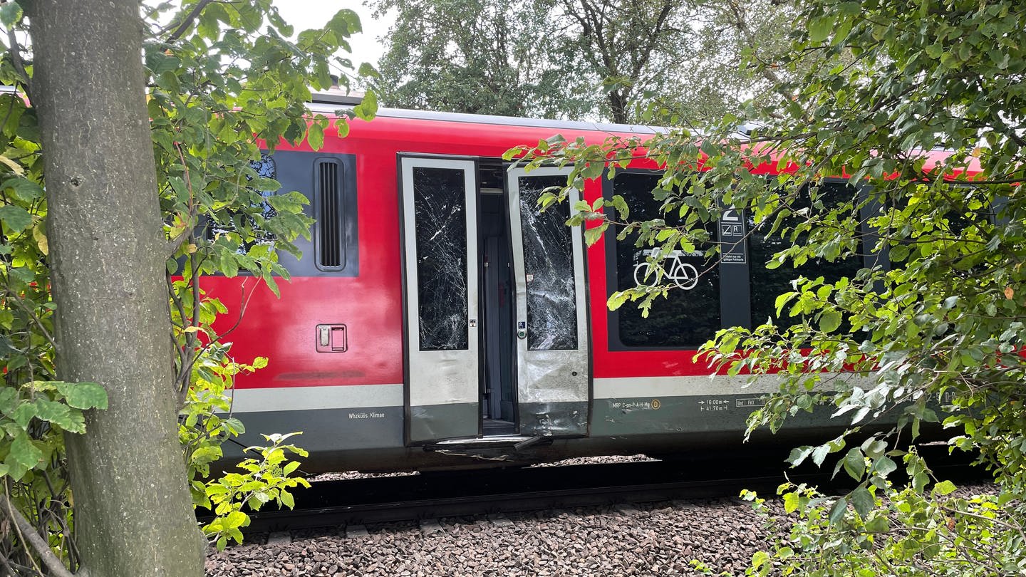 Verkehrsunfall bei Kandel: Kleintransporter und Zug stoßen zusammen - Zugstrecke gesperrt