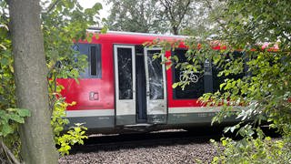 Verkehrsunfall bei Kandel: Kleintransporter und Zug stoßen zusammen - Zugstrecke gesperrt