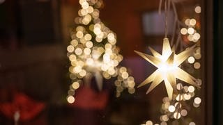 Die Weihnachtsbeleuchtung in Landau wird sparsamer ausfallen