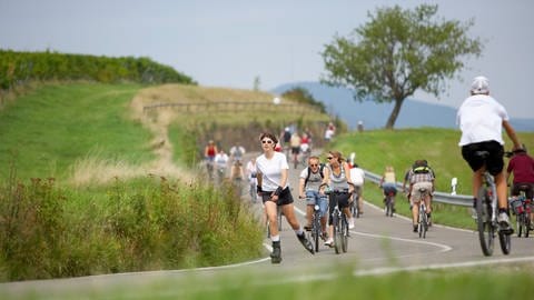 Radfahrerinnen und Radfahrer fahren auf der Straße