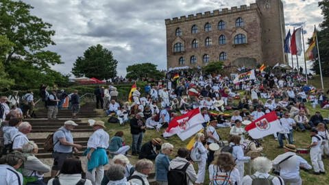 Rund 3000 Menschen nutzen Ende Mai 2022 das Demokratiefest in NeustadtWeinstraße für ihren Protest