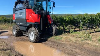 Unwetter in der Pfalz