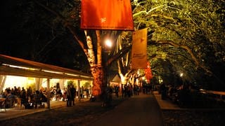 Filmfestival-Gelände am Abend mit Zelten und Bänken unter den Platanen auf der Parkinsel