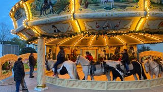Ponys auf dem Weihnachtsmarkt in Frankenthal: Tierschützer, Besucher und Betreiber haben unterschiedliche Ansichten zum Ponyreiten