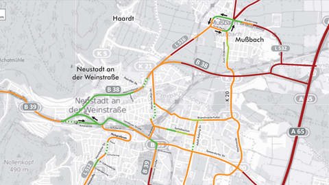 Karte von Neustadt an der Weinstraße: Straßen, für die Tempo 30 beantragt ist, sind dunkelgrün eingezeichnet