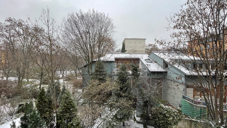 Schnee Bilder aus der Pfalz Dezember 2022