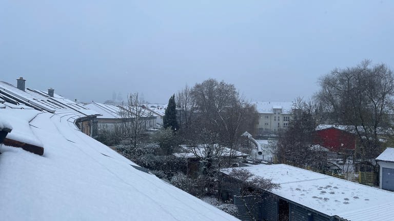 Schnee Bilder aus der Pfalz Dezember 2022