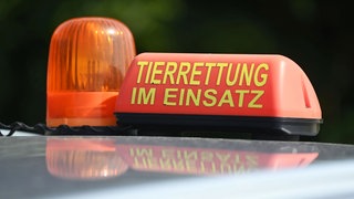 Tierrettung im Einsatz