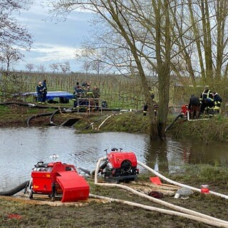 Freiwillige Feuerwehr Böchingen