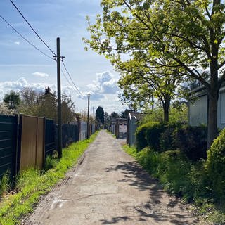 Kleingartenanlage in den Sandwiesen