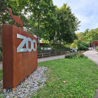 Der Zoo in Landau