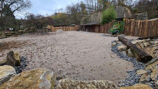 Die Afrika-Anlage im Zoo Landau