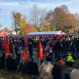 Daimler Mitarbeiter streiken in Wörth