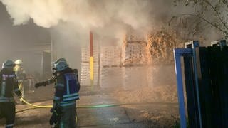 Brand in einem holzverarbeitenden Betrieb in Annweiler