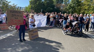 Demonstration in Neustadt