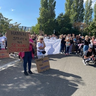 Demonstration in Neustadt