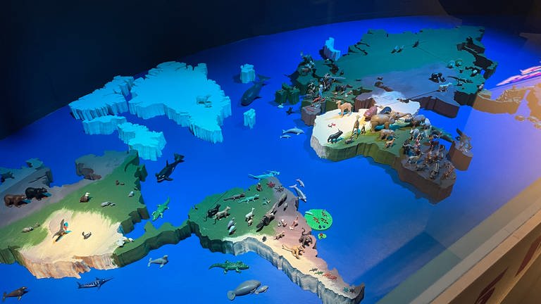 Verschiedene Welten sind bei der Playmobil-Ausstellung im Historischen Museum der Pfalz in Speyer zu sehen