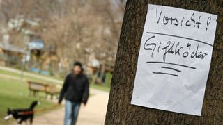 Die Polizei Landau warnt: Giftköder auf Spielplatz in Siebeldingen