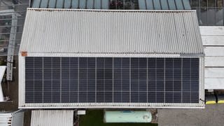 Die neue Solaranlage auf dem Dach der Tafel Ludwigshafen