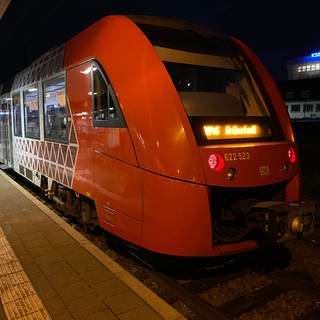 Zug am Bahnhof Frankenthal