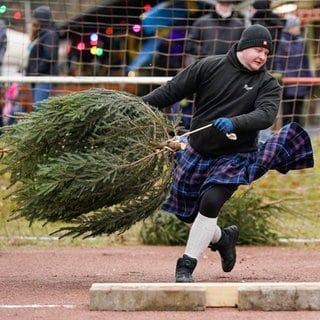 Da fliegt die Tanne: Ein Teilnehmer der inoffiziellen "Weltmeisterschaft" im Weihnachtsbaumwerfen. 