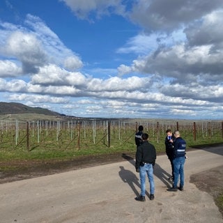 Polizisten suchen im Weinberg