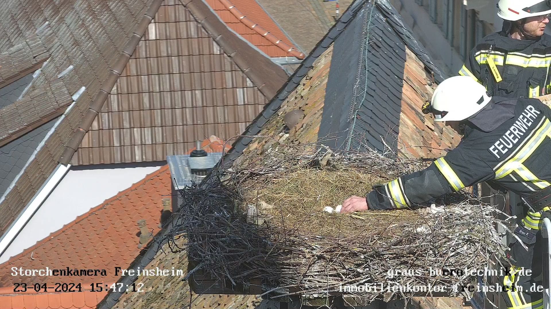 Feuerwehr in Freinsheim bringt vier Storcheneier zu Pflegeeltern