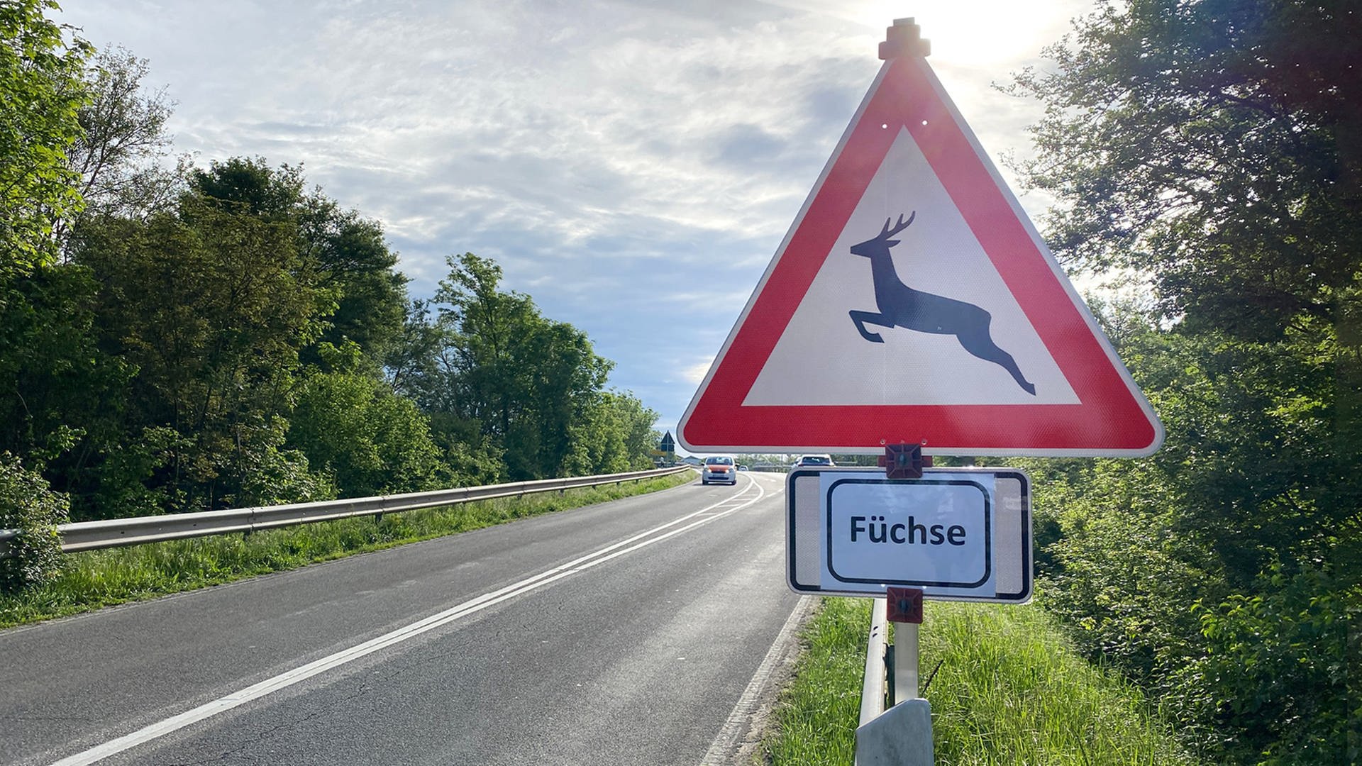 Straßenmeisterei bastelt Fuchs-Warnschilder in Limburgerhof selbst