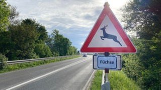 Warnschild Füchse Limburgerhof