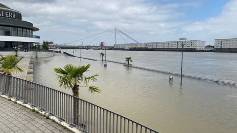 Hochwasser an der Rheingalerie in Ludwigshafen im Juni 2024