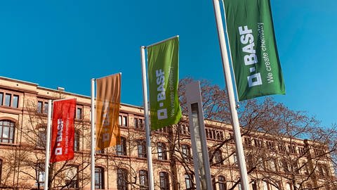 Vor einer Woche hat die BASF ein umfassendes Sparprogramm angekündigt. Das wird auch den Standort Ludwigshafen massiv betreffen.