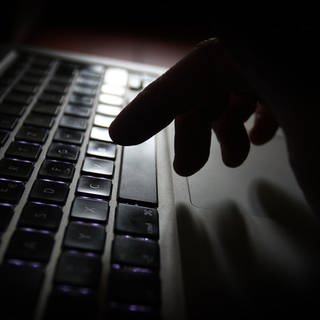Ein Mann aus dem pfälzischen Waldsee gewährte einem angeglichen Microsoft-Mitarbeiter Zugang zu seinem Computer und wurde auf diese Weise um viel Geld betrogen
