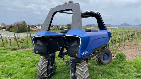 Roboter im Weinberg: "Bakus" sieht aus wie ein futuristischer Traktor - ohne Fahrer