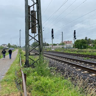 In der Vorderpfalz haben Diebe Kabel zerschnitten und gestohlen und dadurch eine wichtige Bahnstrecke lahmgelegt. Es kommt weiter zu vielen Zugausfällen und Verspätungen, da Signale nicht funktionieren.