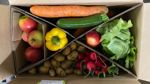 Ein Start-Up Unternehmen aus Schifferstadt will unförmige Lebensmittel in "Retterboxen" verkaufen.