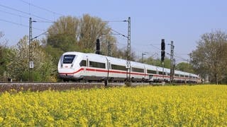 Während der Sperrung der Riedbahn fahren ICE-Züge zwischen Mannheim und Frankfurt eine Umleitung. Dafür brauchen sie 20 bis 50 Minuten länger als normal. Das Foto zeigt einen ICE-4 auf der Riedbahn-Strecke zwischen Groß-Rohrheim und Biblis im Landkreis Bergstraße. 