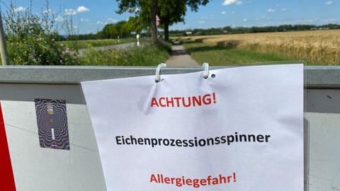 Wegen Raupen gesperrter Radweg zwischen Frankenthal-Flomersheim und Lambsheim