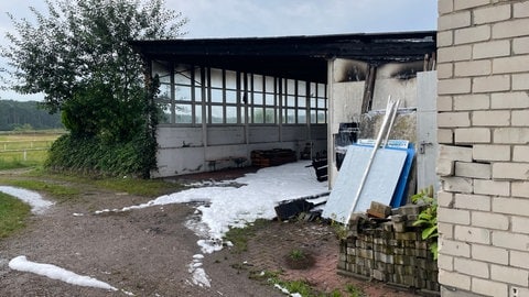 An der Pferderennbahn Haßloch hat es gebrannt. Eine Lagerhalle ist komplett zerstört worden und es ist Asbest ausgetreten.