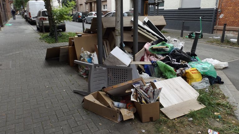 Vermüllung Ludwigshafen Hemshof Oktober 23