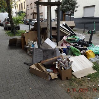 Vermüllung Ludwigshafen Hemshof Oktober 23