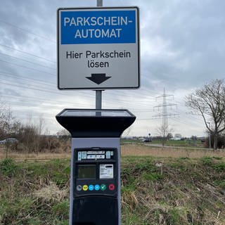 Einer der Parkautomaten am Weiher in Lambsheim: Eine Frau hatte hier über Jahre hinweg mehr als 50.000 Euro Parkgebühren hinterzogen und bislang nicht zurückgezahlt.