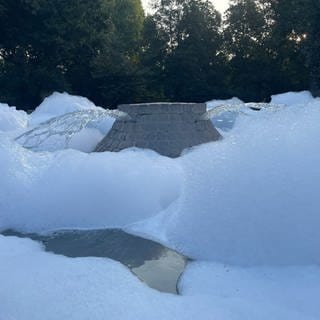 Speyerer Brunnen im Domgarten voller Schaum