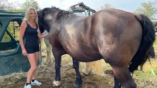 Reiterhof-Chefin Daniela Paul ist froh über die Spenden