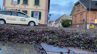 Ein Winzer hatte am Montag während der Fahrt in Edenkoben im Kreis Südliche Weinstraße einen Anhänger mit zwei Tonnen Maische verloren. Die Ladung hatte sich großflächig auf einer Hauptstraße in Edesheim verteilt.