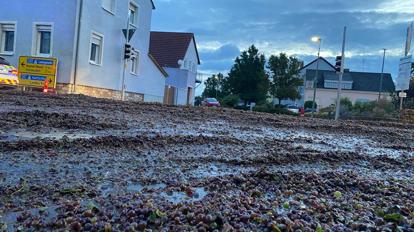 Ein Winzer hatte am Montag während der Fahrt in Edenkoben im Kreis Südliche Weinstraße einen Anhänger mit zwei Tonnen Maische verloren. Die Ladung hatte sich großflächig auf einer Hauptstraße in Edesheim verteilt.