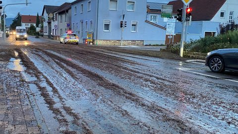 So sah es am Montagmorgen auf Staatsstraße in Edesheim im Kreis Südliche Weinstraße aus. Sie war voller Maische. Es gab Winzer-Glatteis.