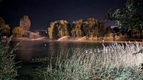 Die Feuerwehr versucht mit Wasserwerfern und Pumpen die Zirkulation im Russenweiher zu verbessern, damit nicht noch mehr Fische sterben