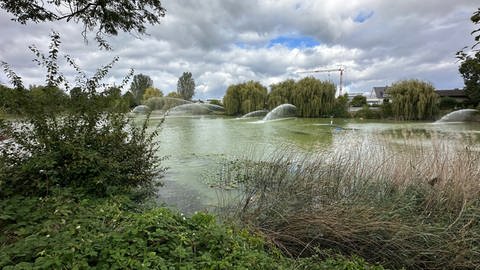 Nach Fischsterben: Die Feuerwehr versucht mit Wasserwerfern die Zirkulation des Russenweihers in Speyer zu verbessern