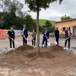 Ministerpräsident Alexander Schweitzer (SPD) pflanzt einen Baum auf dem Landedsgartenschau-Gelände in Neustadt - als symbolischer Auftakt für die Gestaltung des Landschaftsparks 